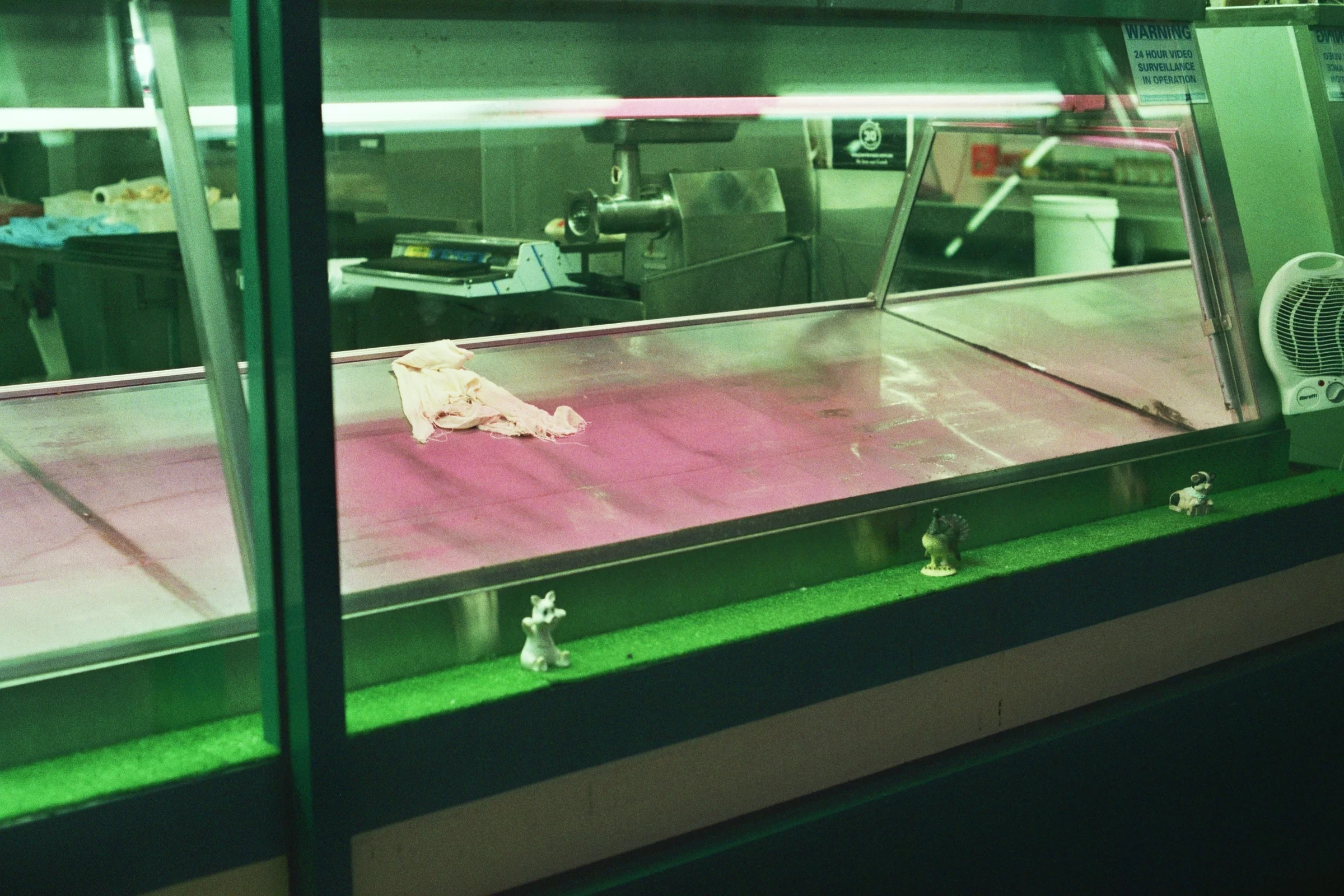 __5_00021.jpg