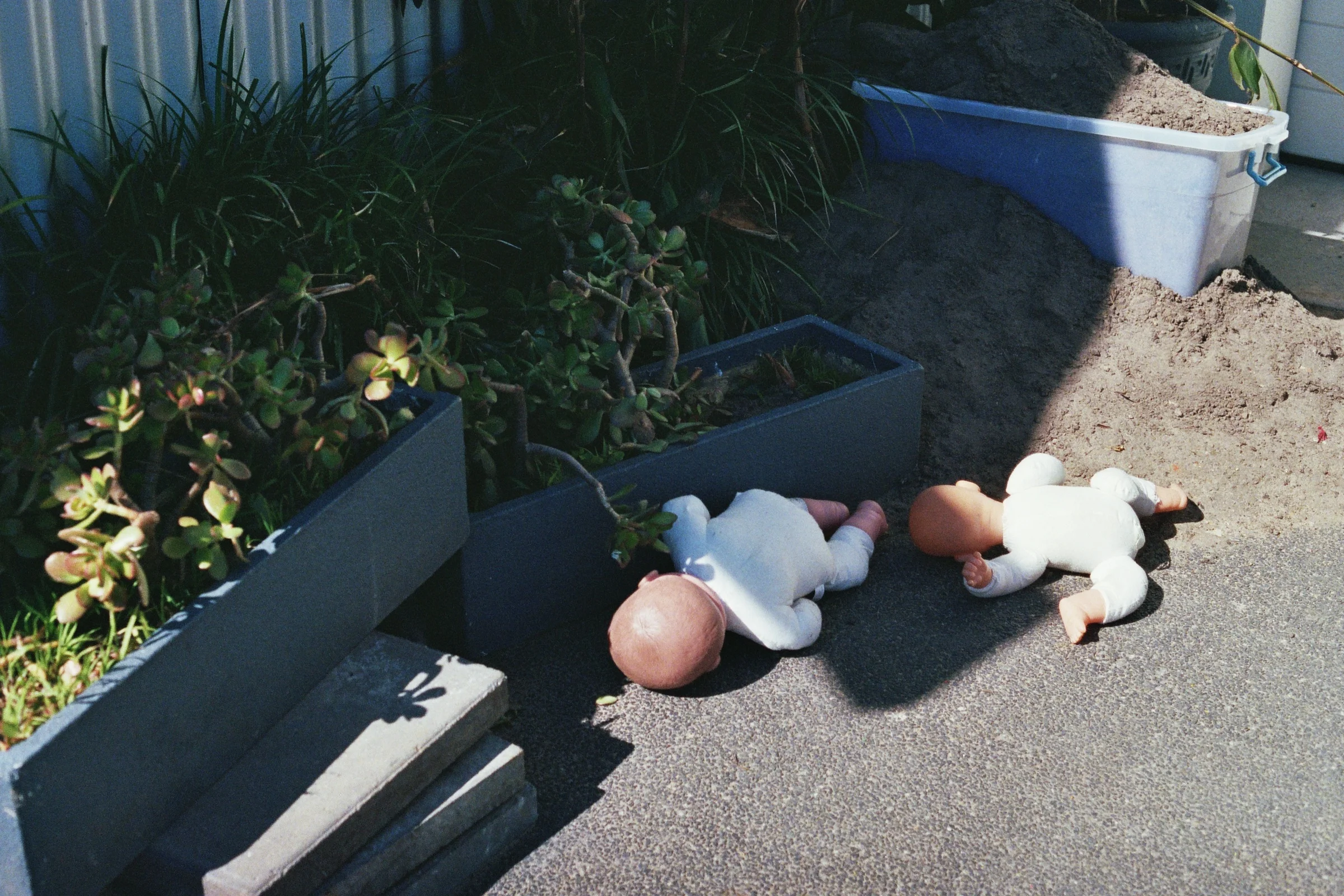 _20_00054.jpg
