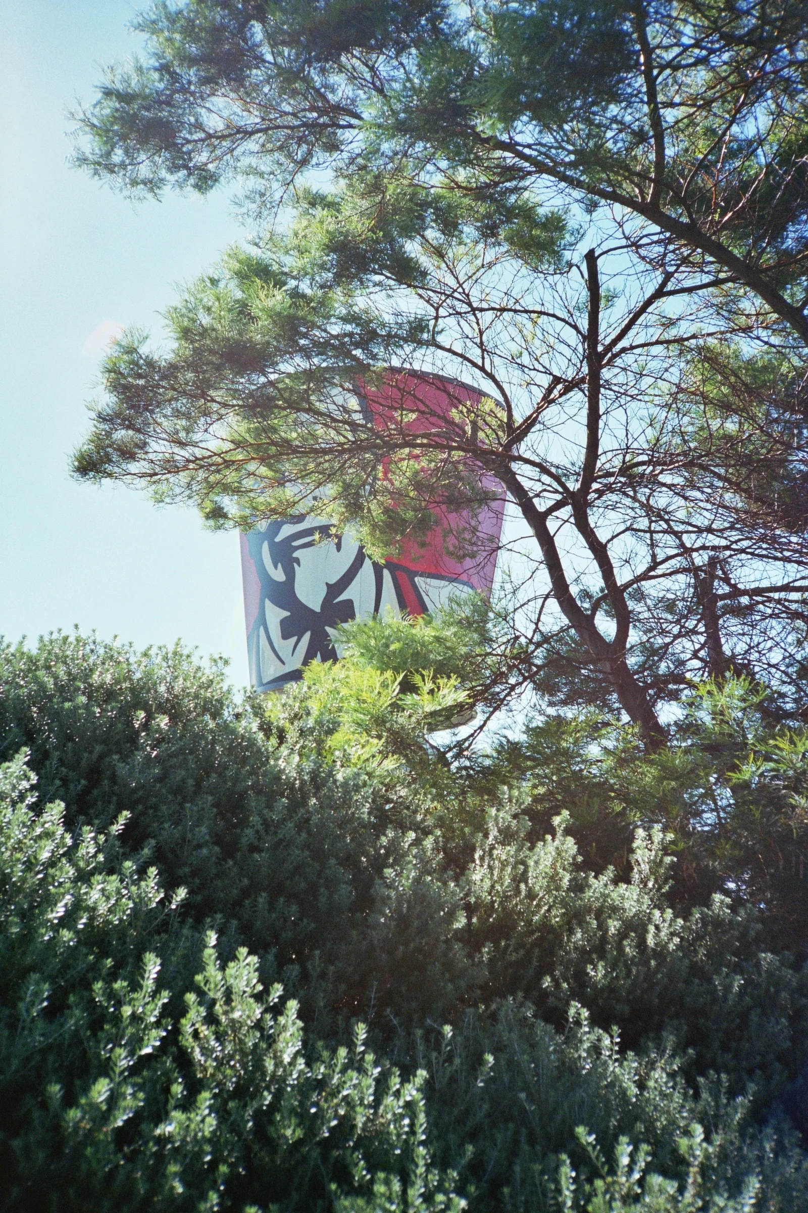 _12_00079.jpg