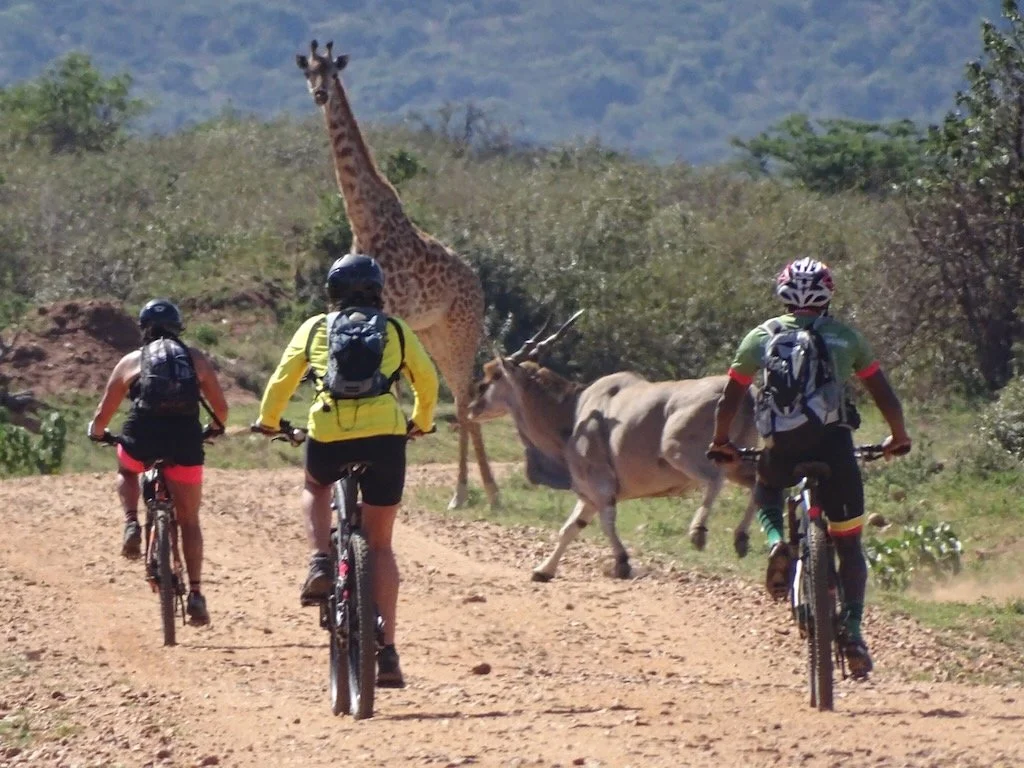 RIDE THE SERENGETI - 2 of 16.jpeg
