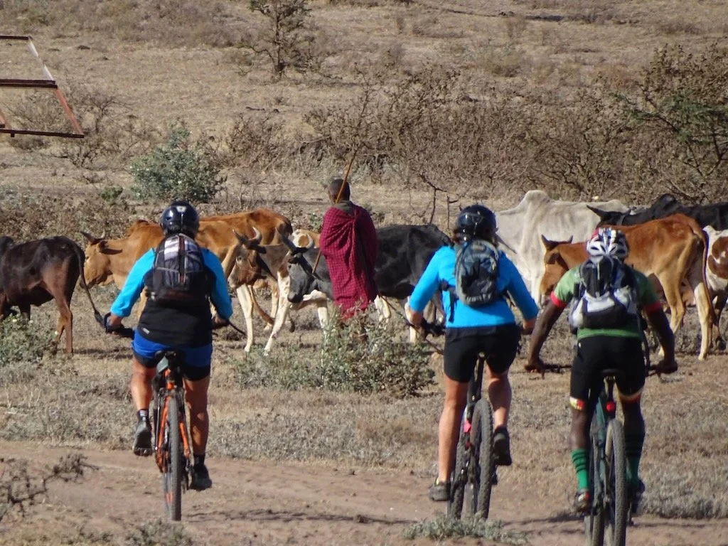 RIDE THE SERENGETI - 4 of 16.jpeg