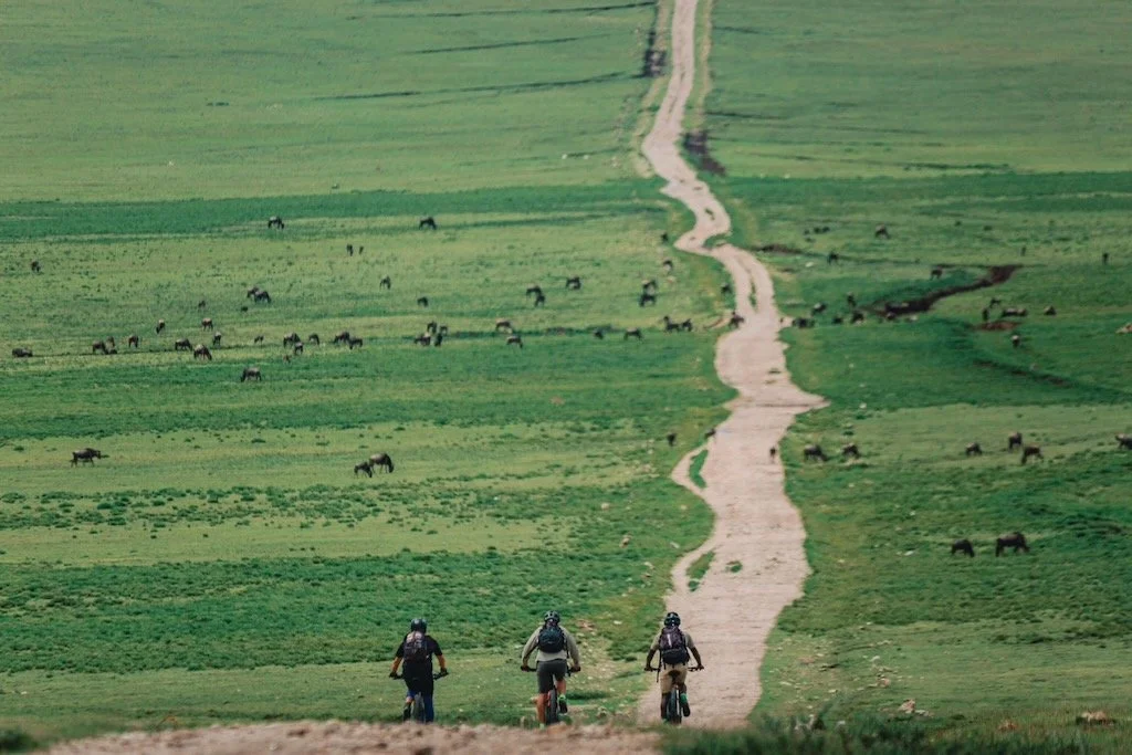 RIDE THE SERENGETI - 14 of 16.jpeg