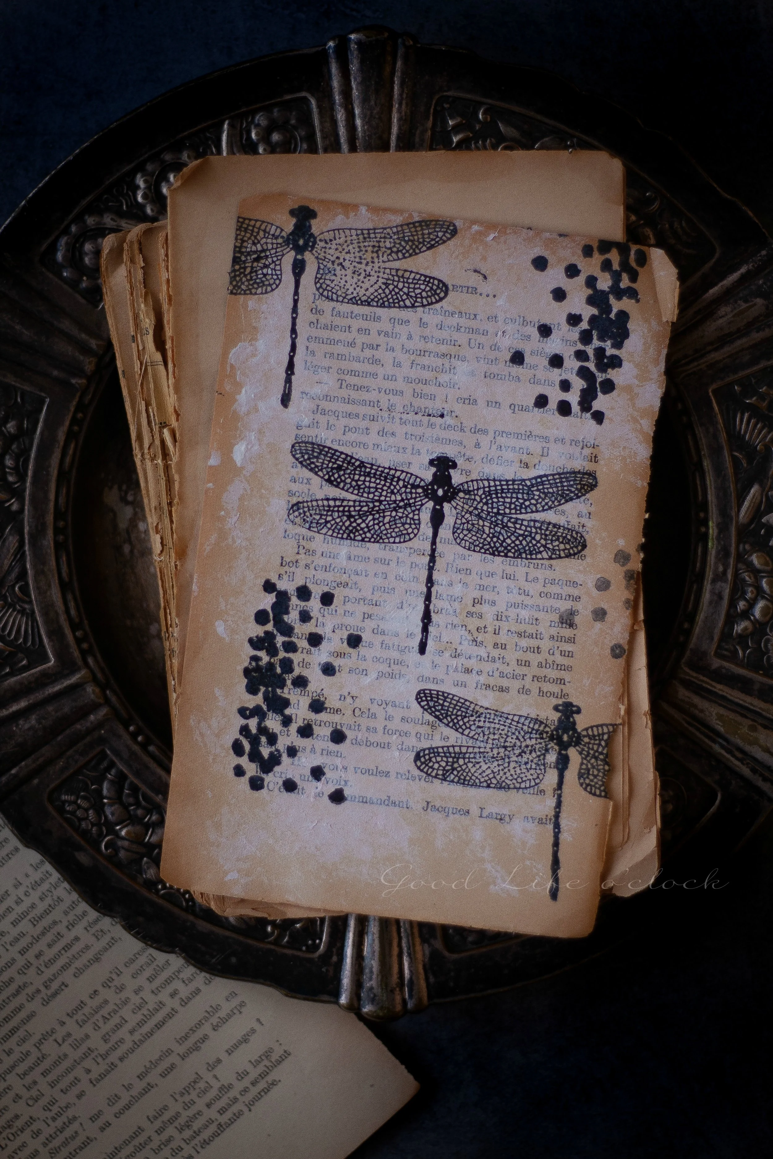 Dragonfly Wat.jpg