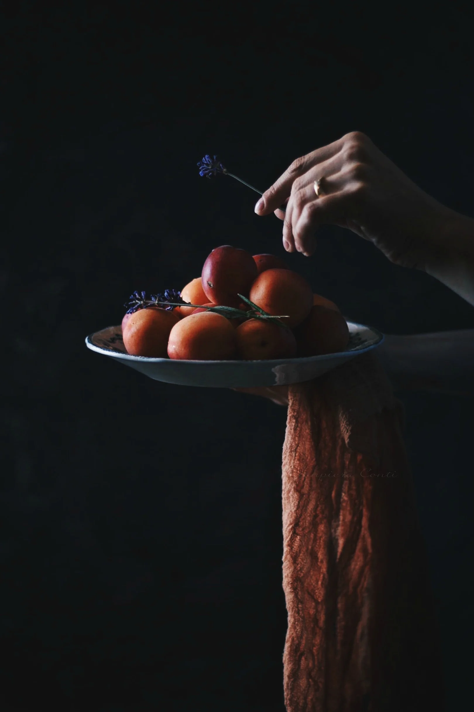 Apricots Chiaroscuro GC.jpg