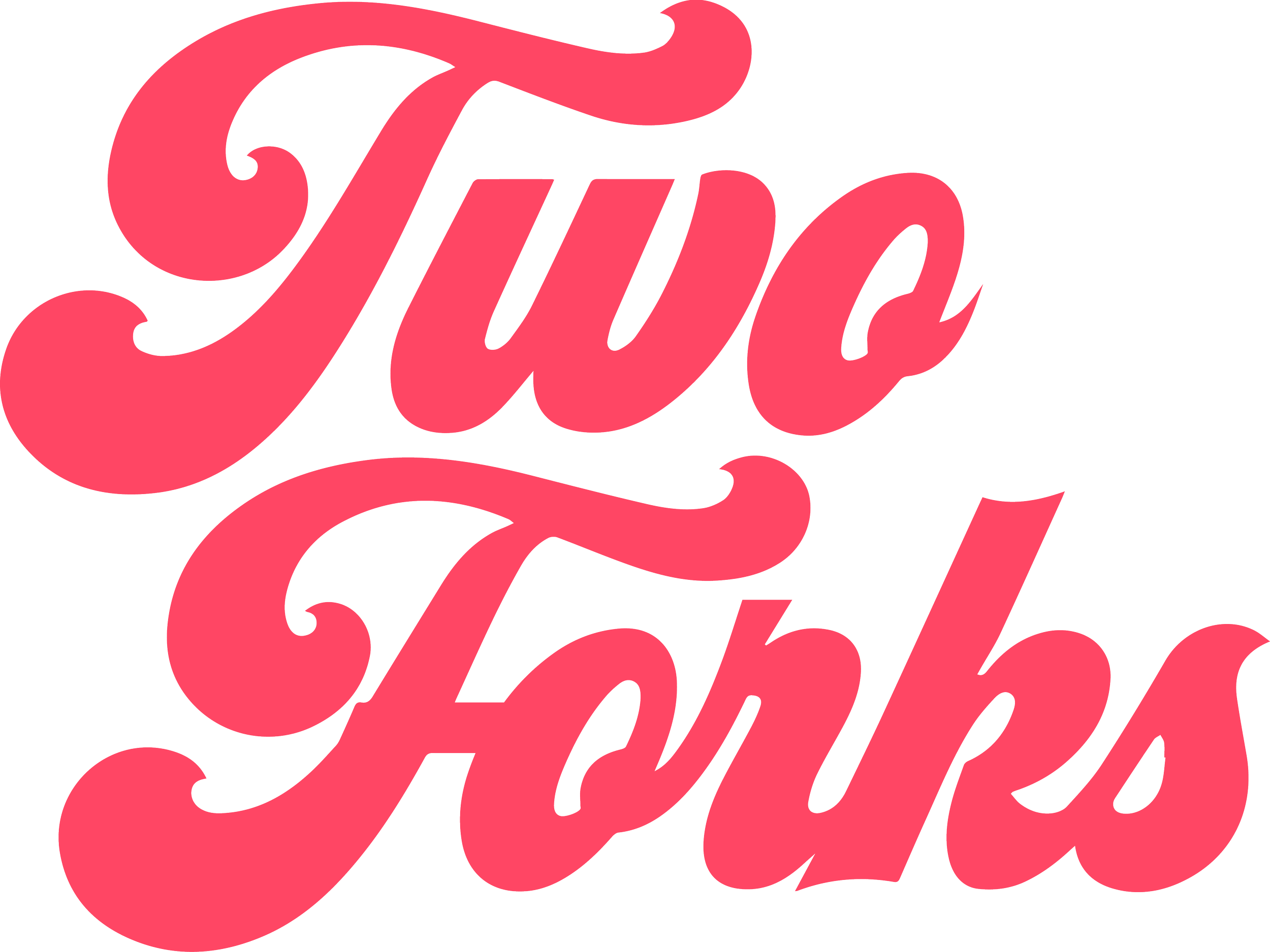Two Forks Hummus Shop