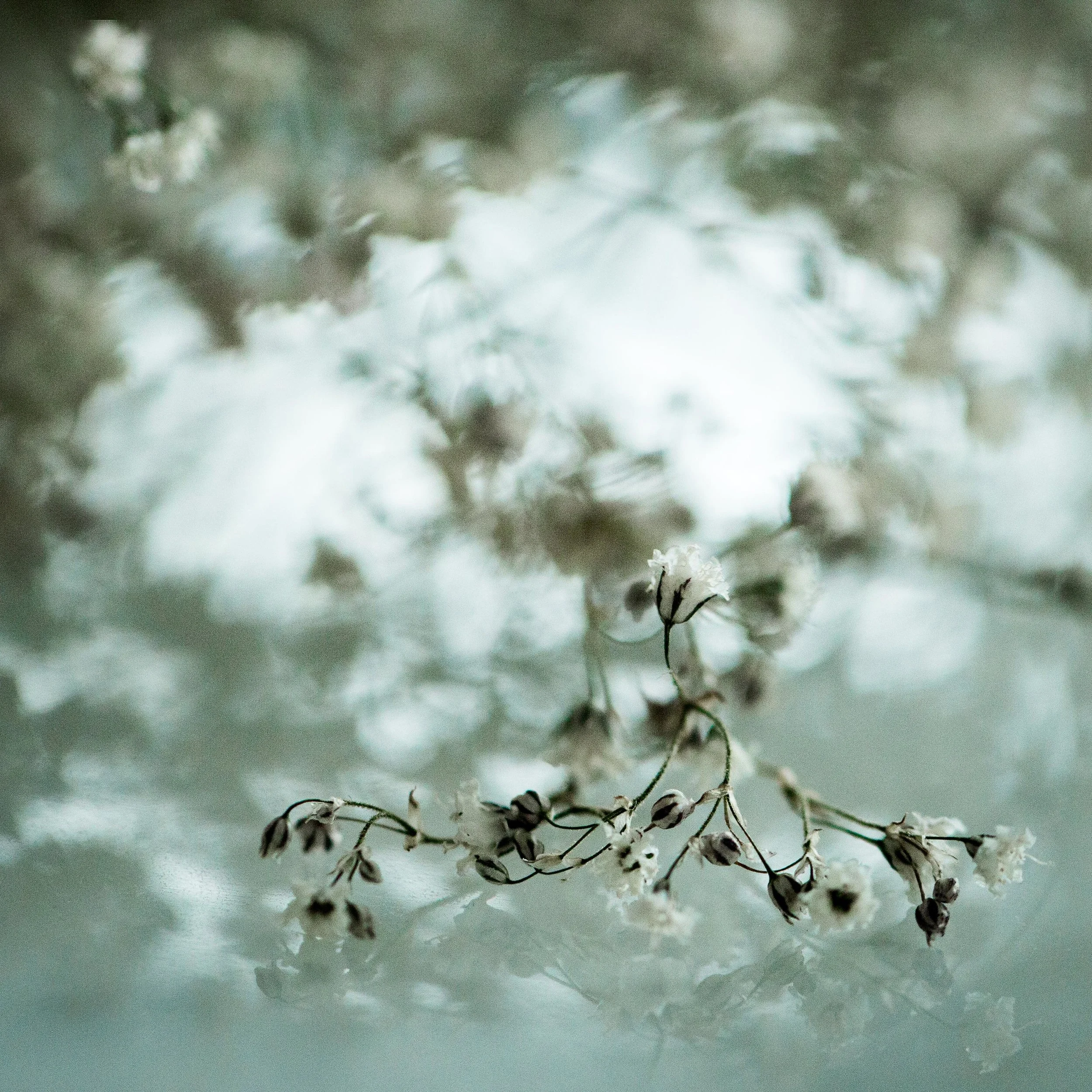 untitled shoot-027.jpg