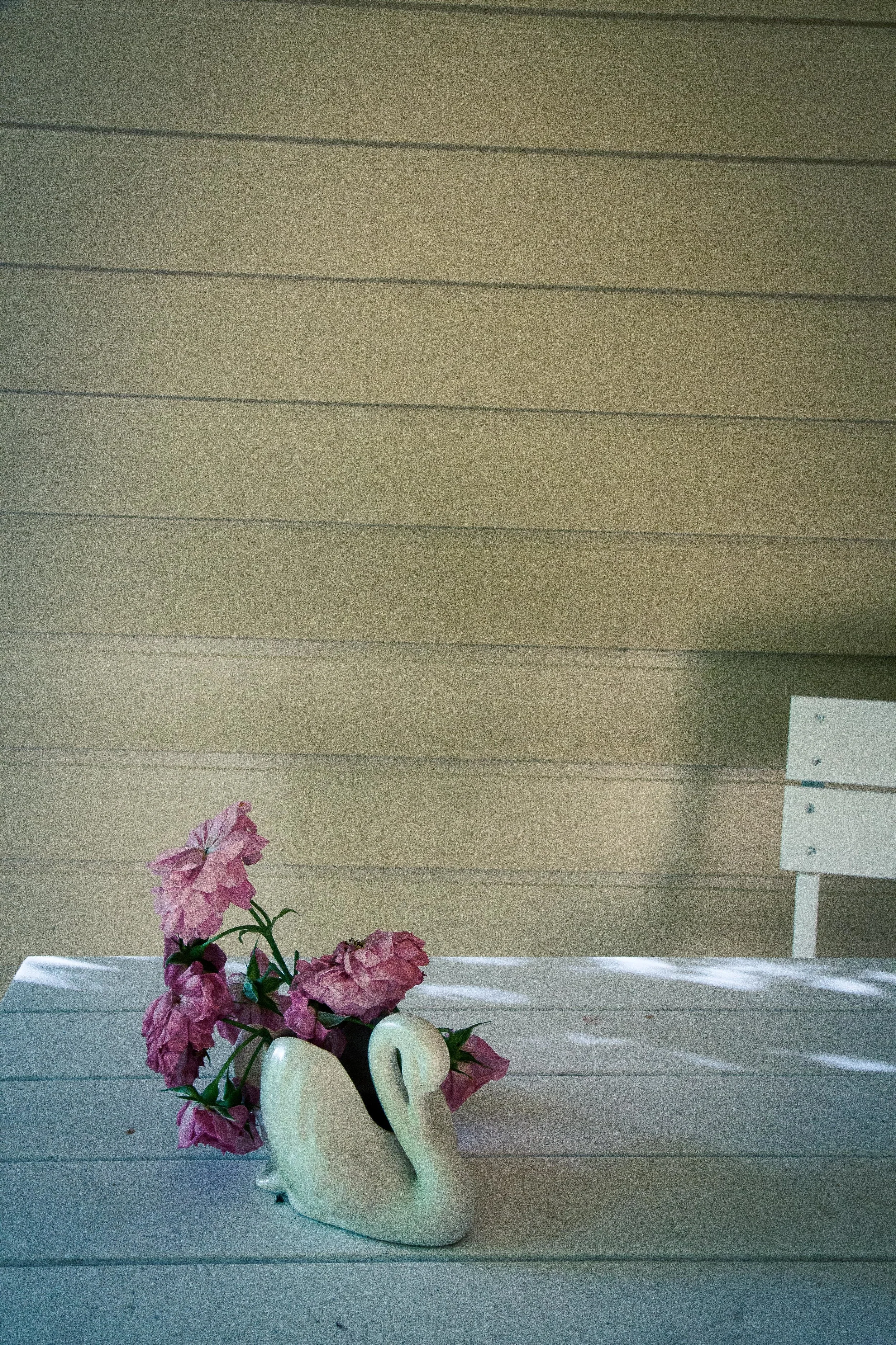 untitled shoot-011.jpg