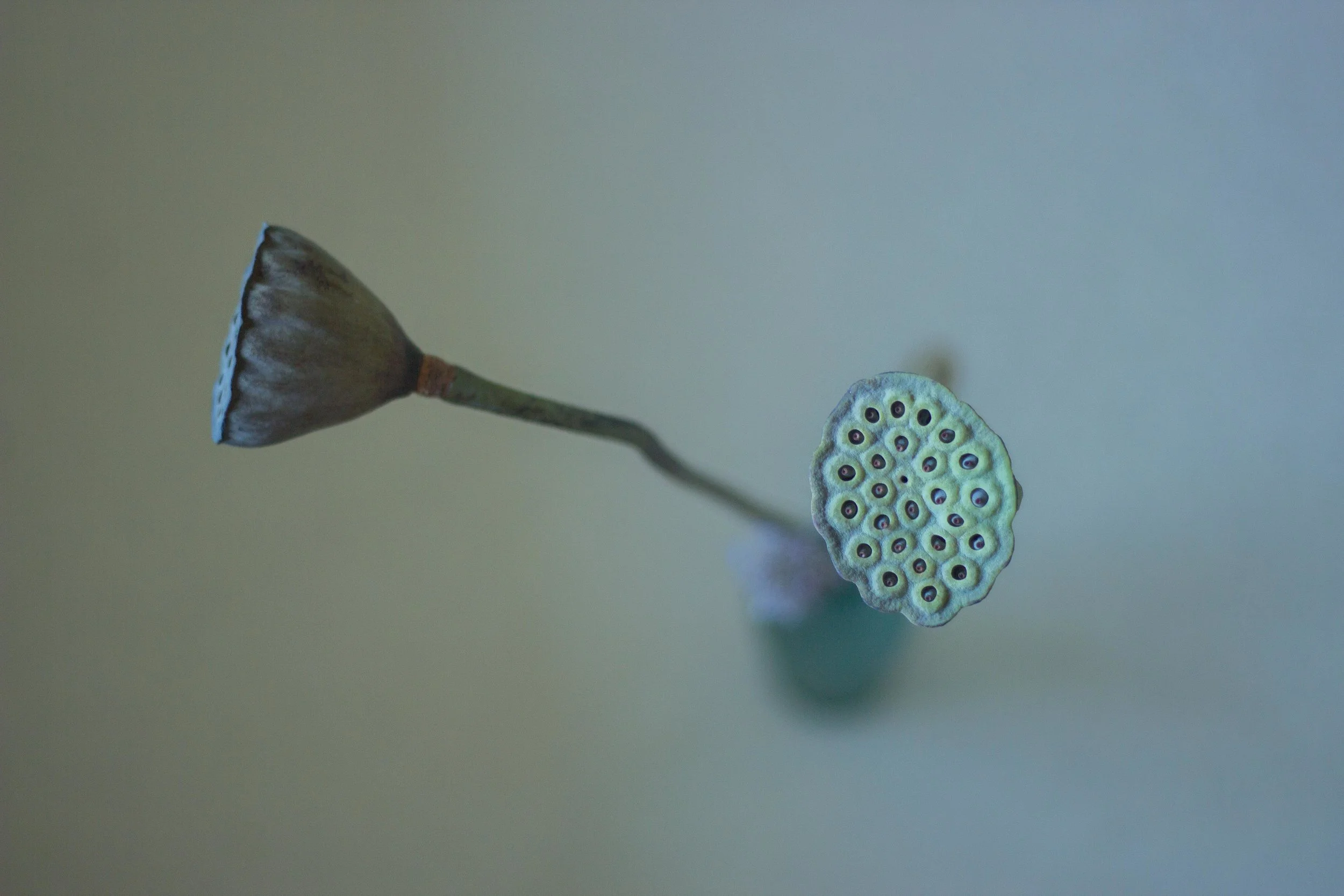 untitled shoot-002.jpg