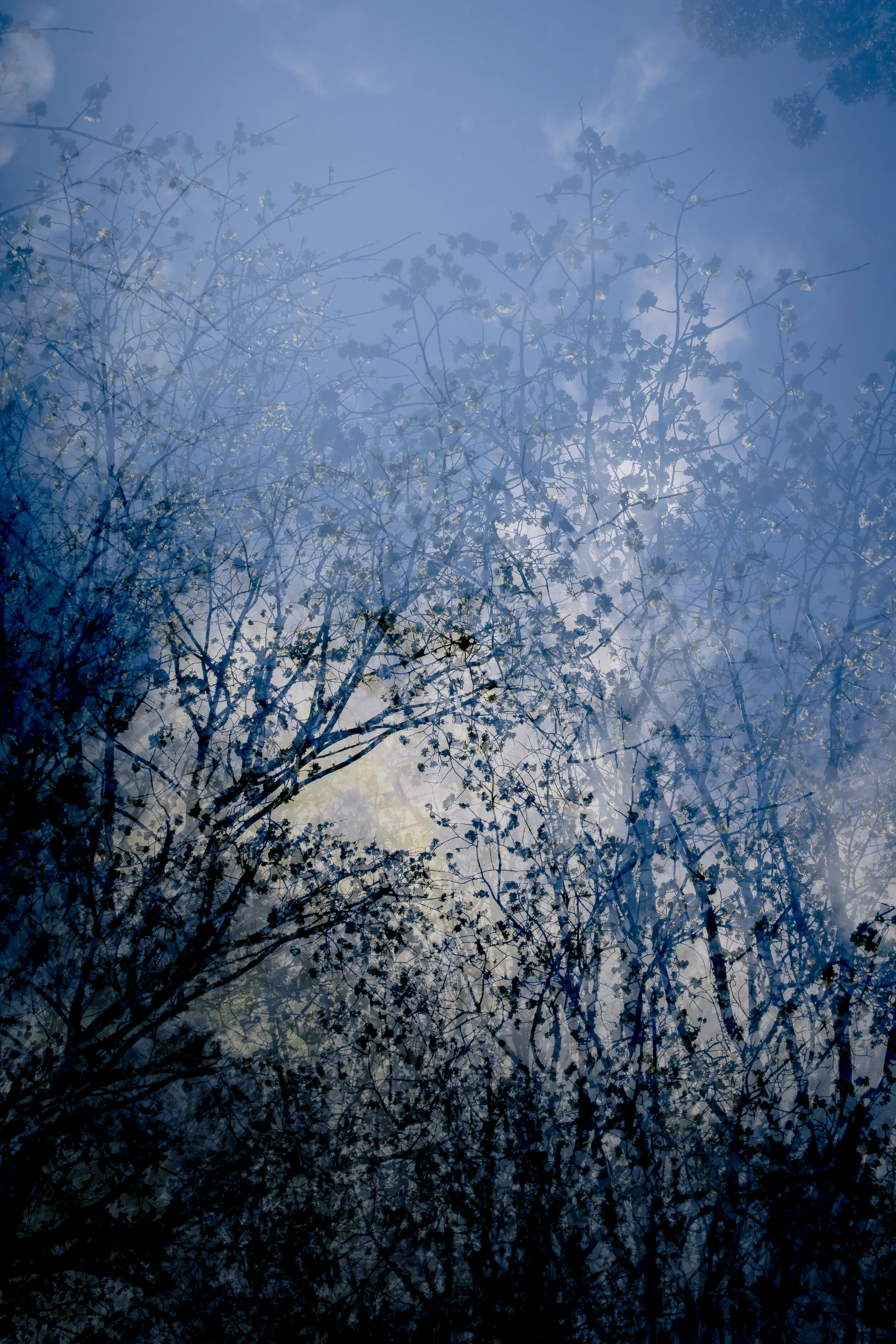 Reverence A2 - Final-38.jpg