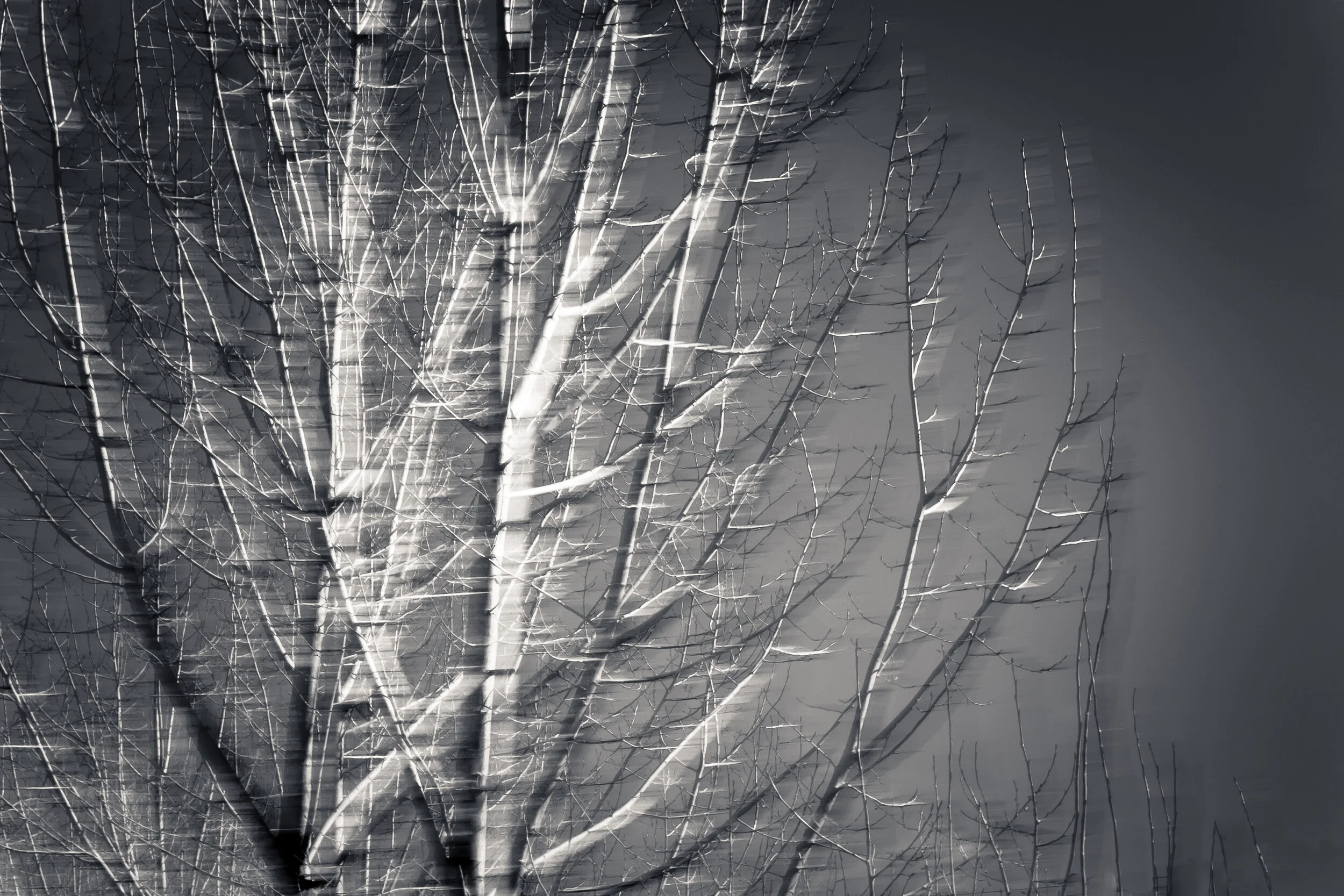 Reverence A2 - Final-32.jpg