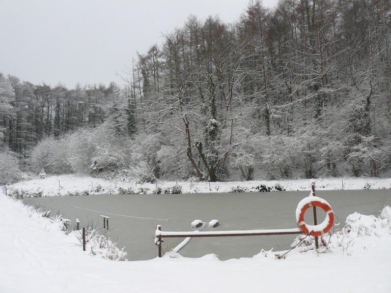 Picture postcard frozen ponds