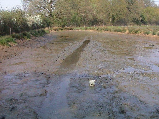 Every pond is drained each year to remove the stock for sale
