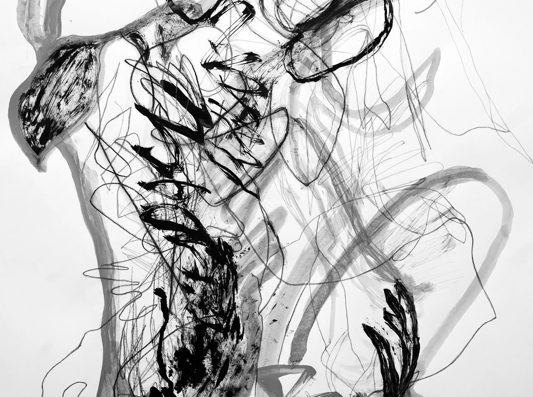 Josephine-Window-Ink-Brush-Drawing-18-original-abstract-figures-ink-paper-expressive-gestural-lines-life-model-nature-closeup-2