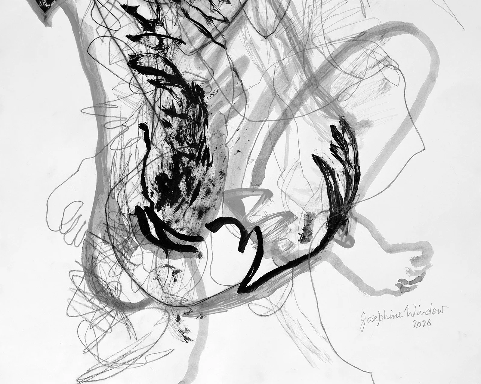 Josephine-Window-Ink-Brush-Drawing-18-original-abstract-figures-black-and-white-paper-expressive-gestural-lineart-dance-music-life-model-nature-plants-signature
