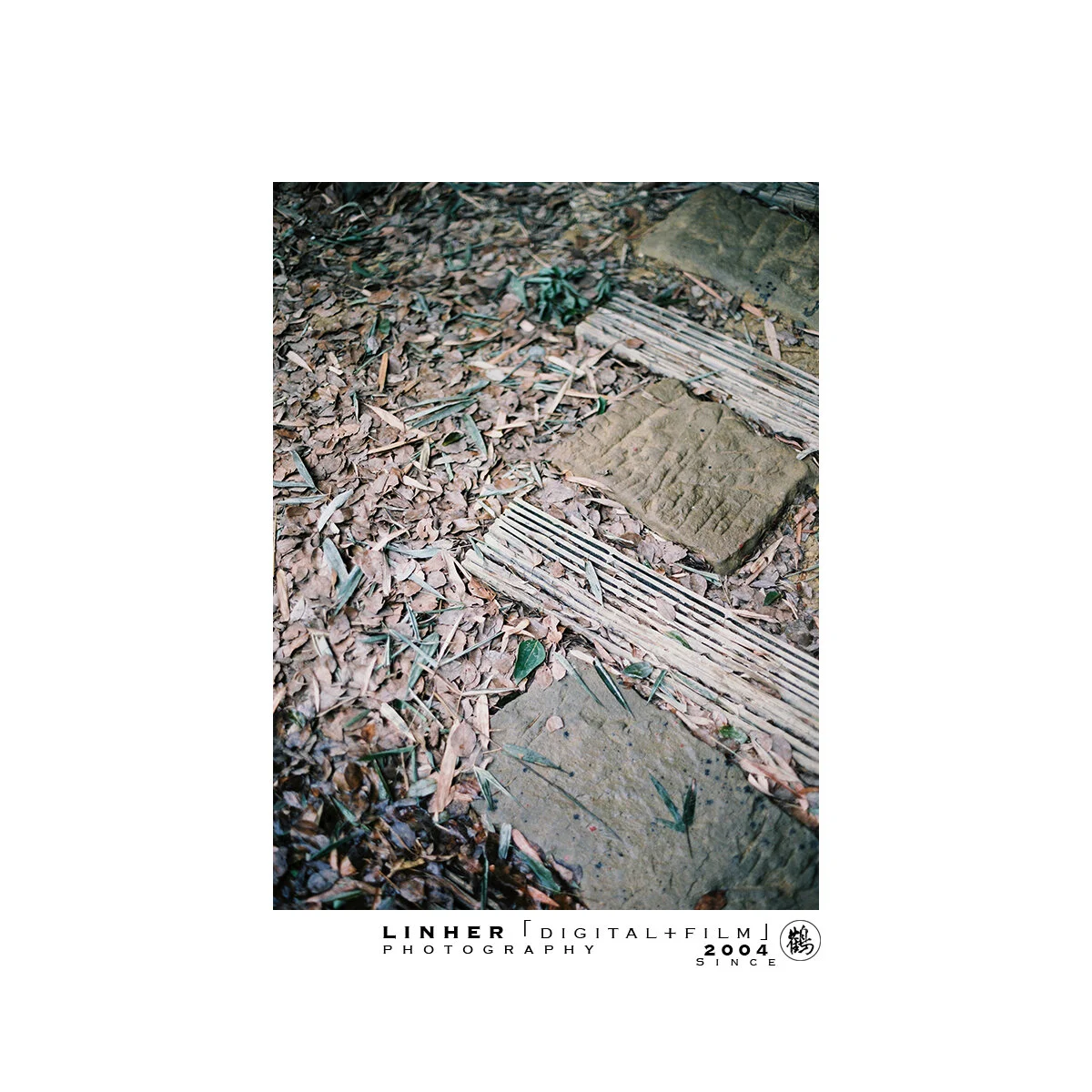 Z+X Wedding in HIDE IN SEE, Chongqing_11.JPG