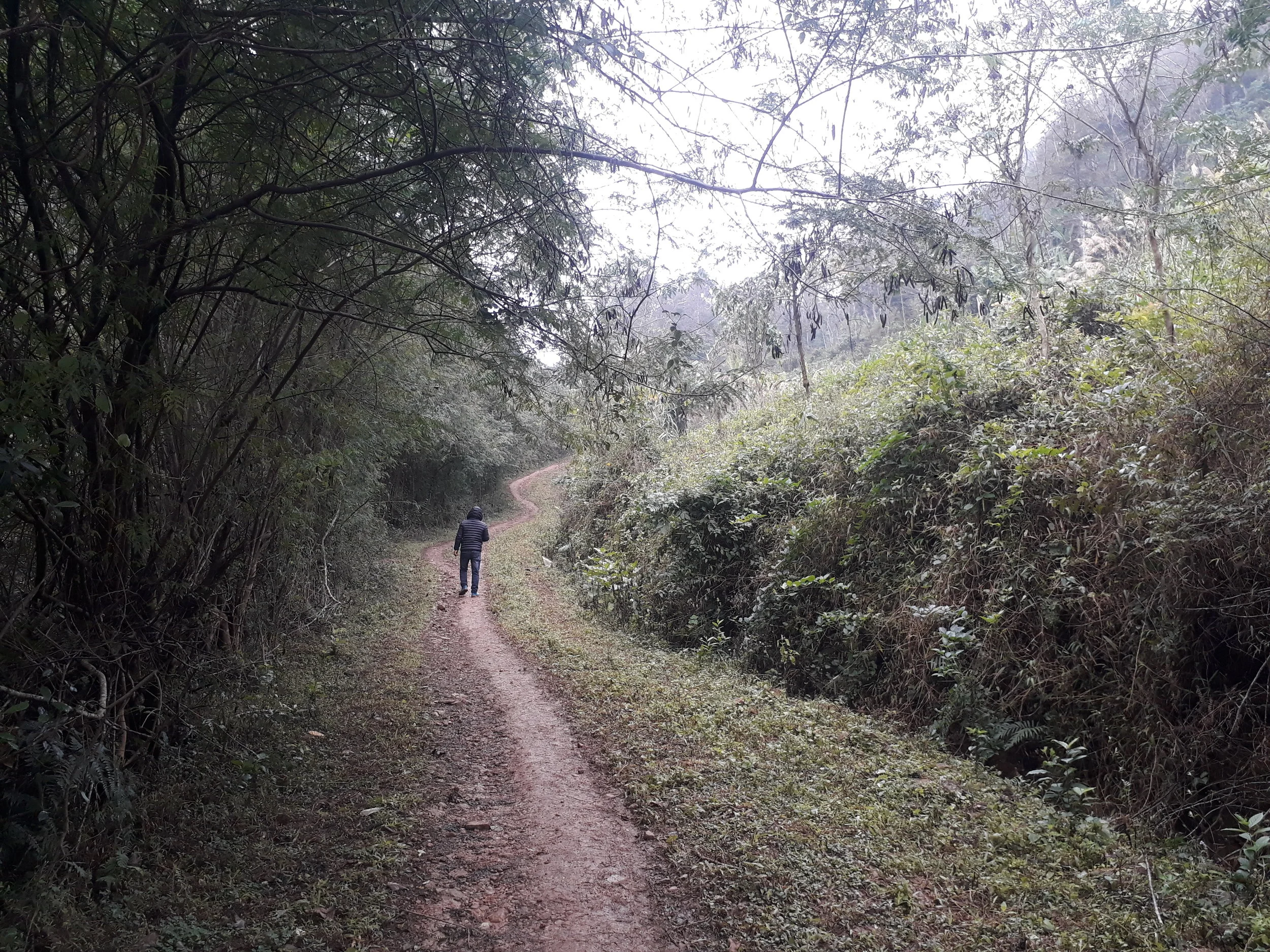20190117_093453.jpg