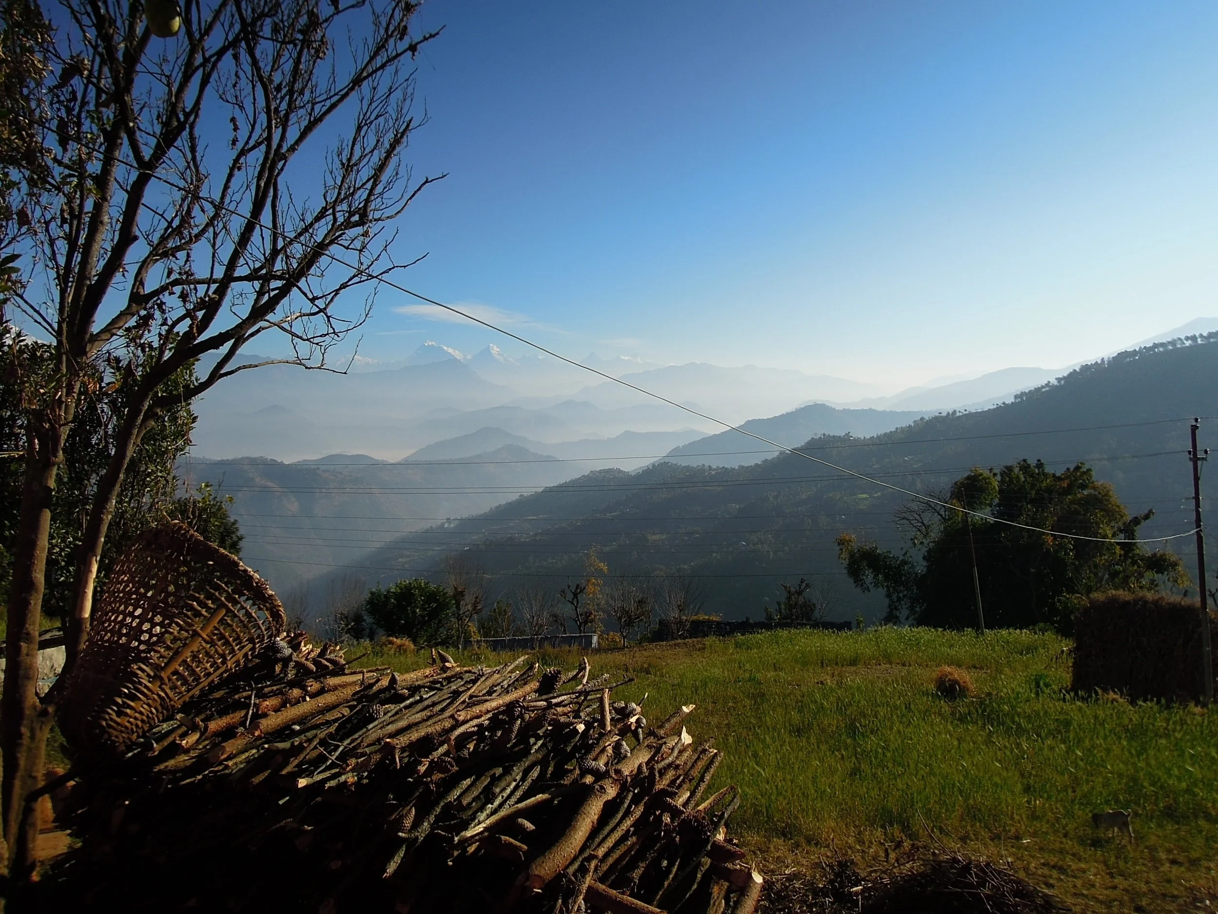 The Rural Decline: A Blog Series