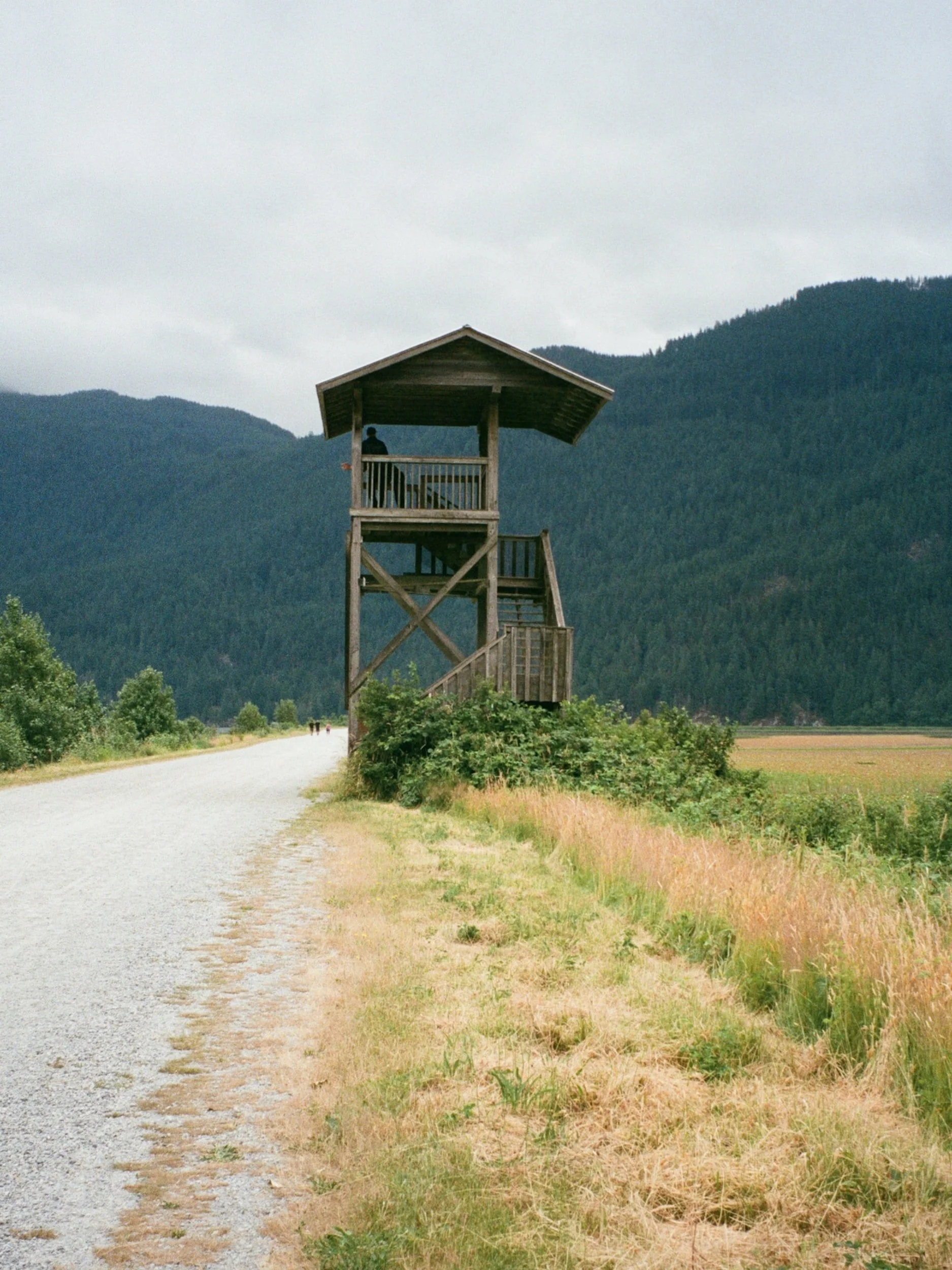 The Rural Decline: A Case Study on Canada