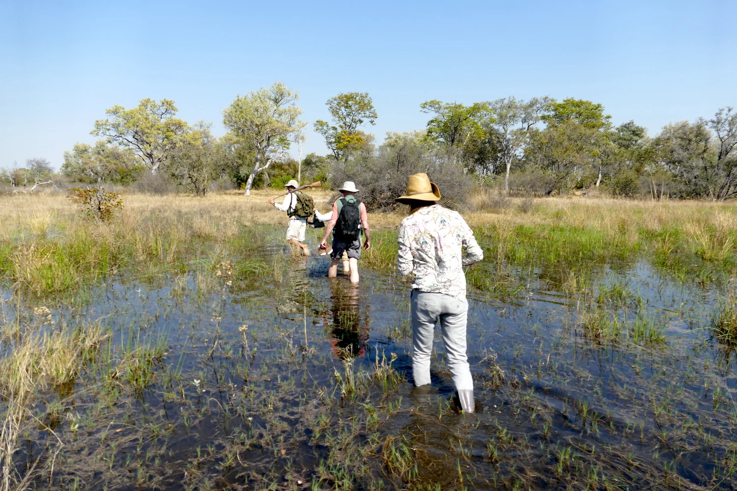 Walking Safari