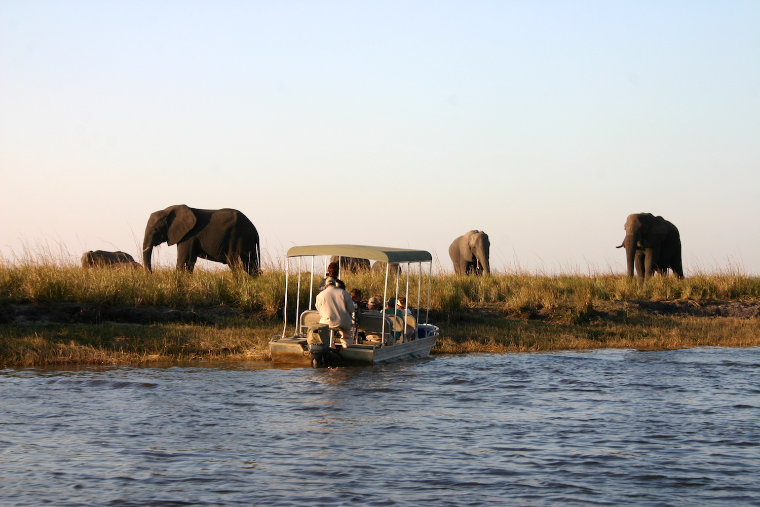 Chobe boatride