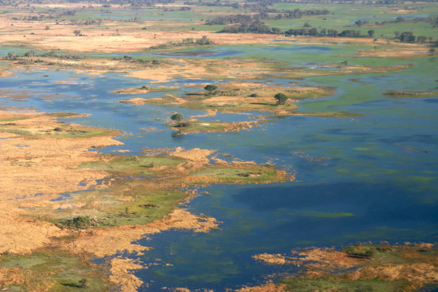 Okavango Delta