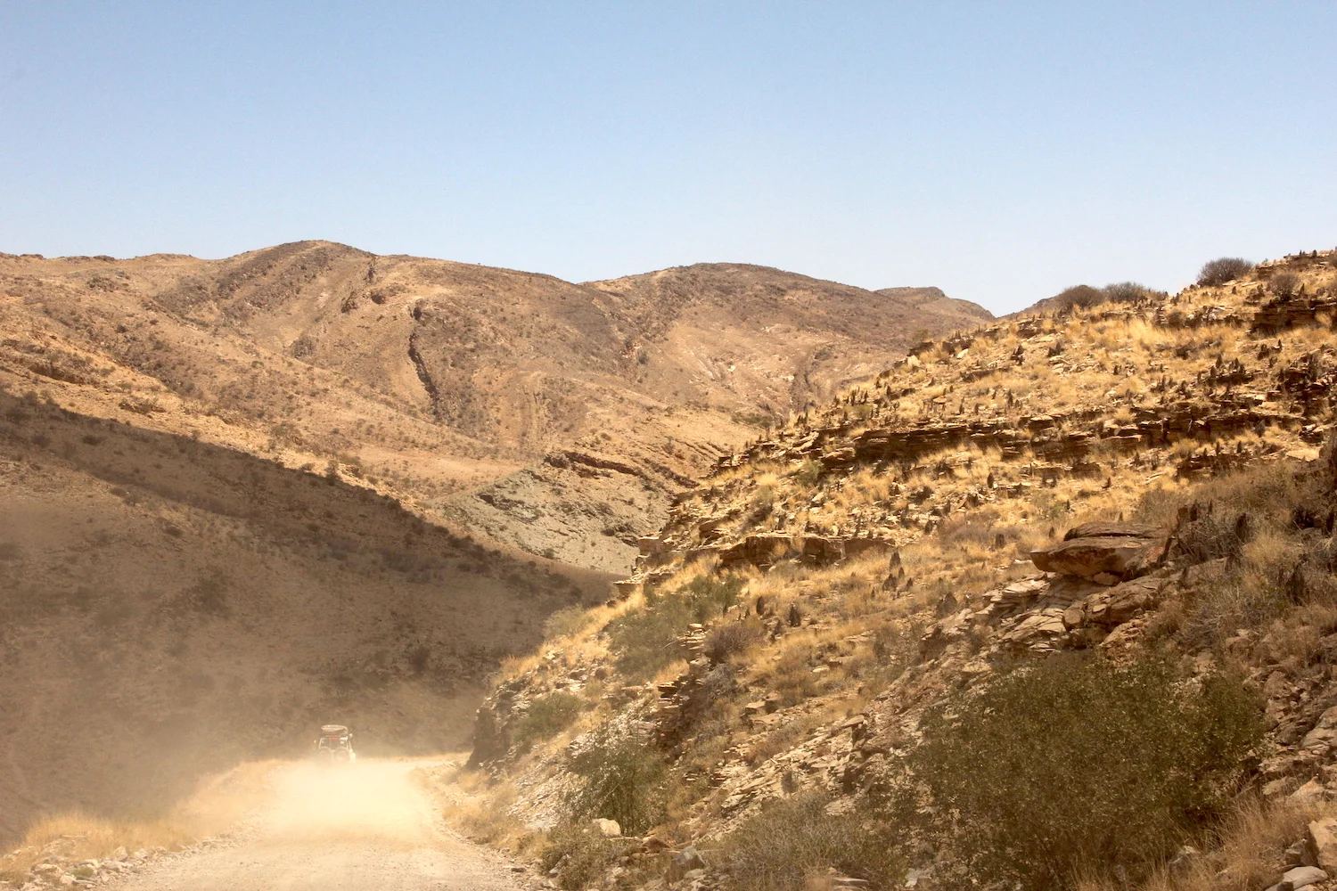 bushlife18-website-namibie00001.JPG