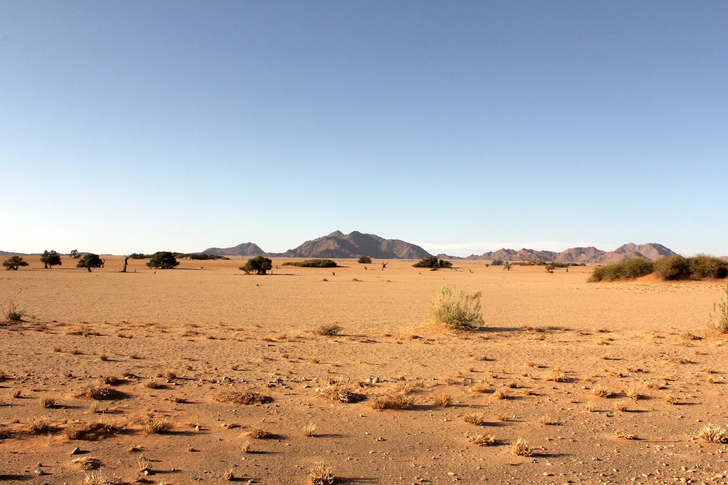 bushlife18-website-namibie00009.JPG