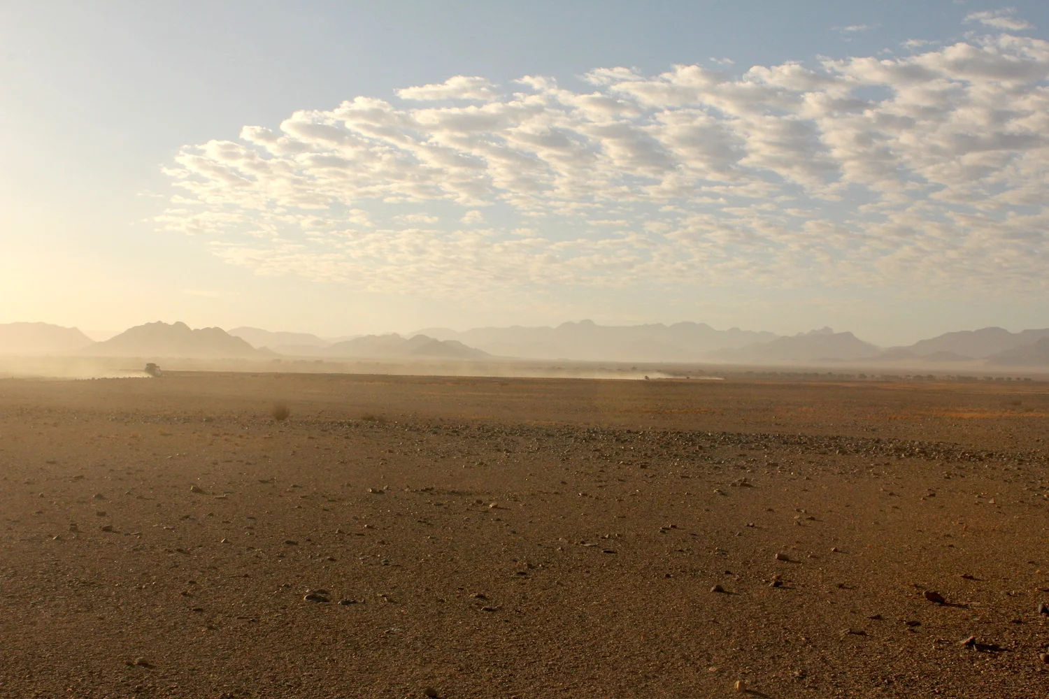 bushlife18-website-namibie00011.JPG
