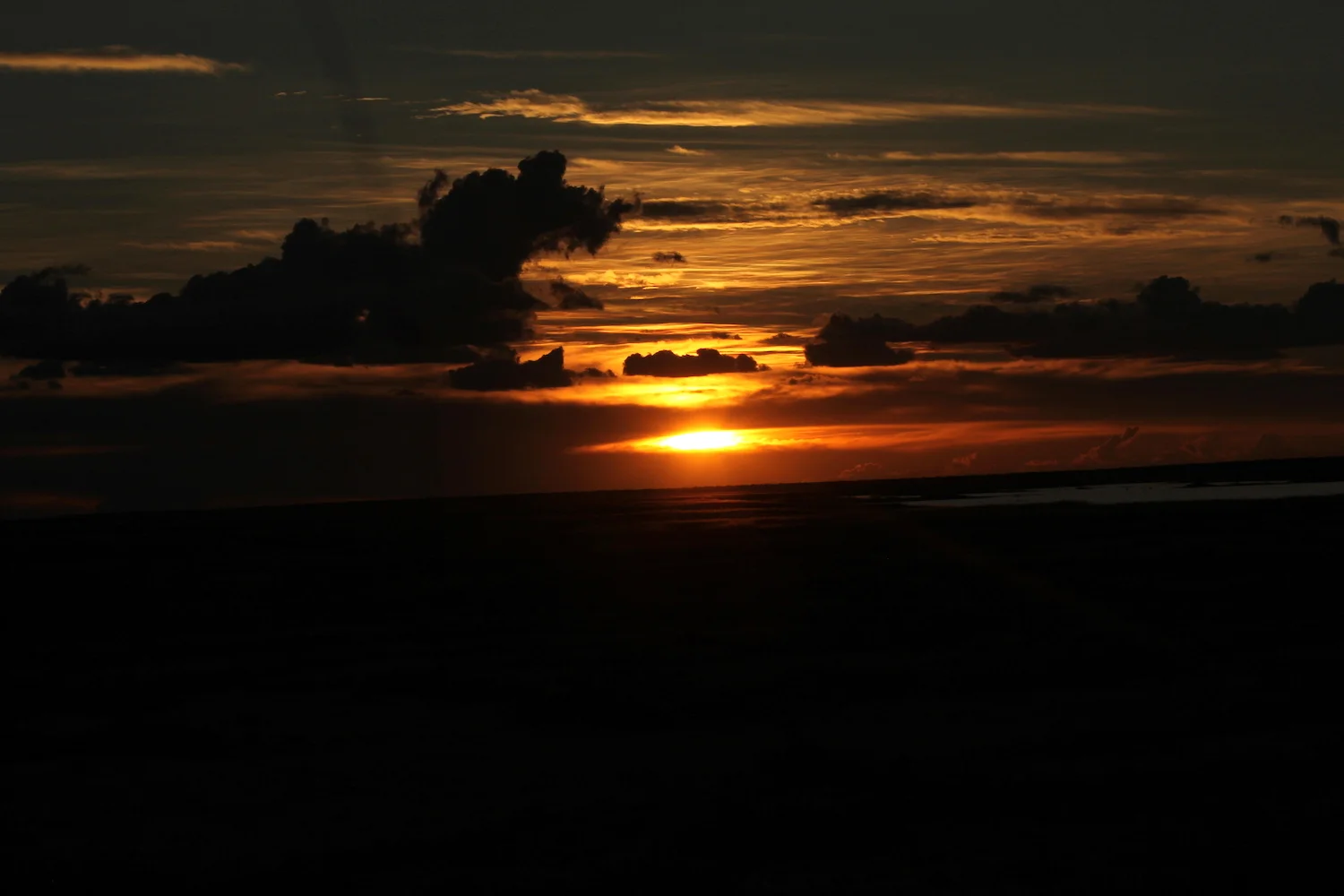 bushlife18-website-namibie00039.JPG
