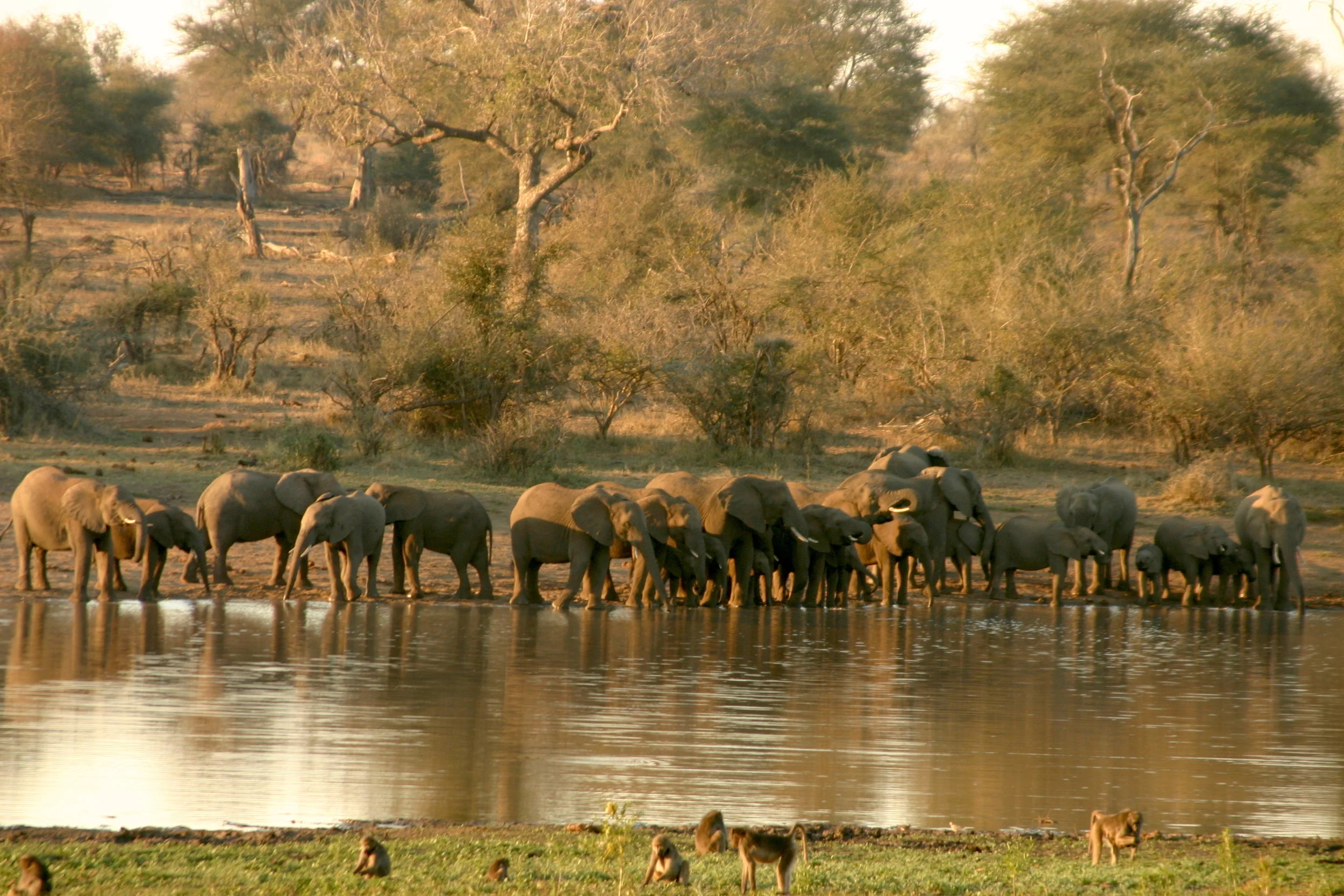bushlife-website-zuidafrika00040.JPG