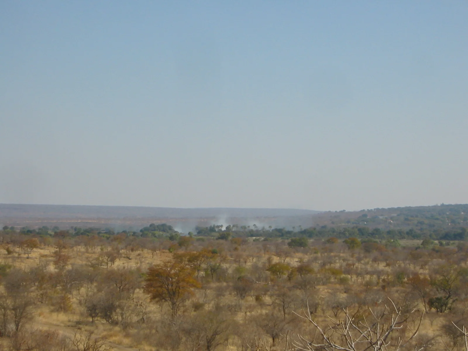 bushlife-website-zambia00005.JPG