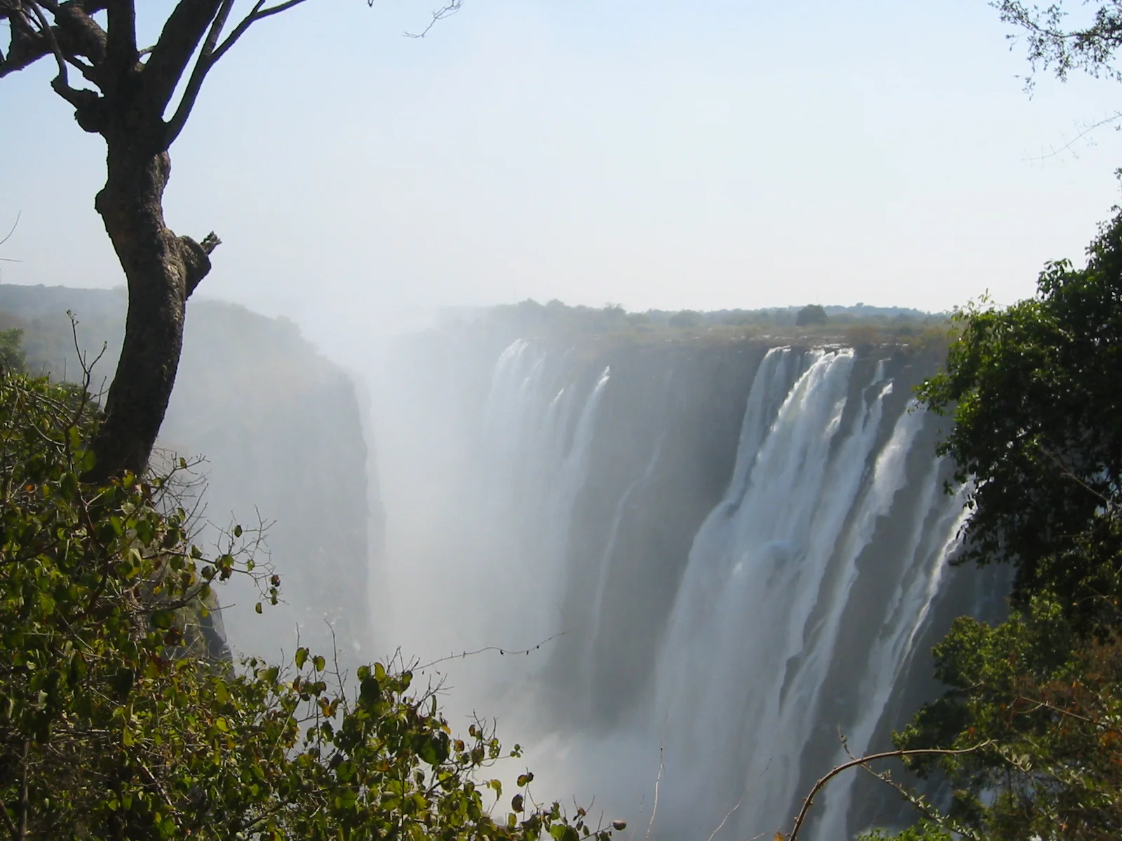 bushlife-website-zambia00006.JPG