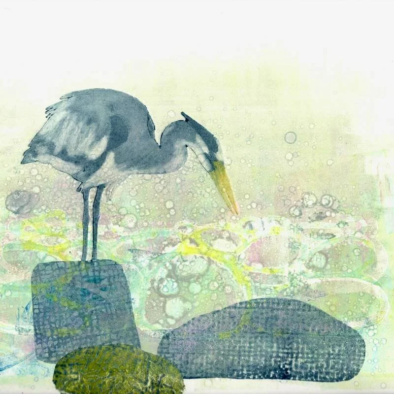 a heron on a rock waiting to catch a fish is the featuer of this eco-friendly greeting card
