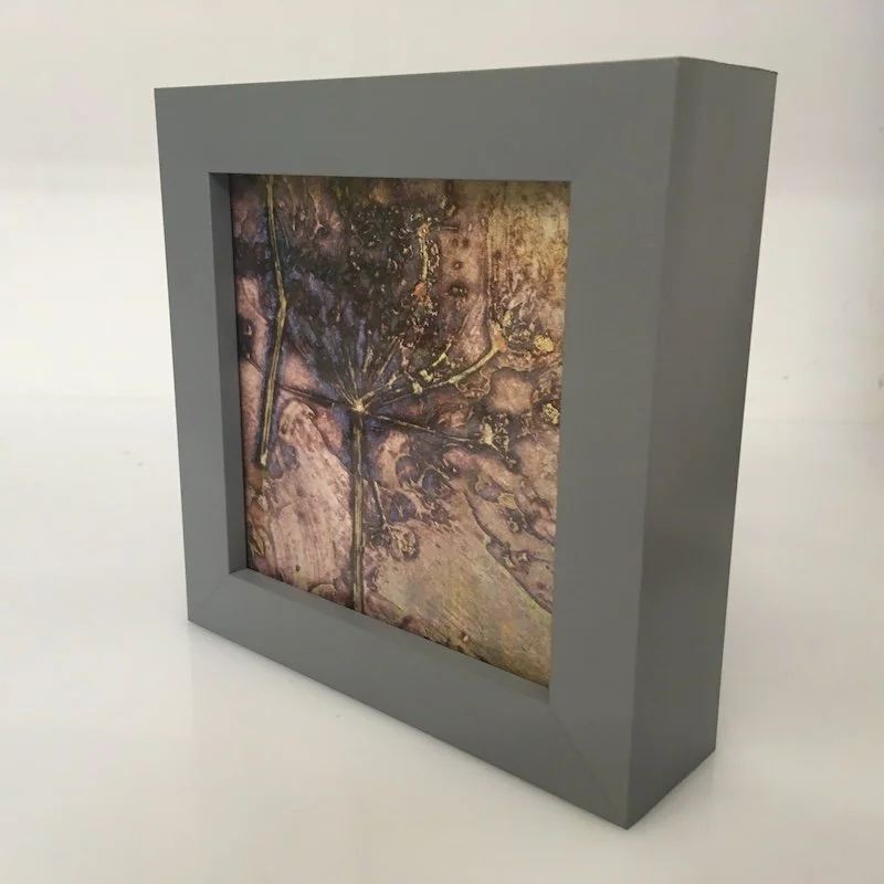 box framed side on view to the right - seedhead v is a contemporary collagraph miniature print created using plants from the hedgerows and hand finished with gold leaf and irridescent oil pastels