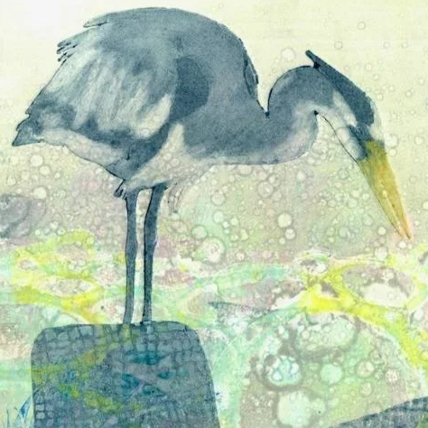 a close up detial of the heron standing on a rock while it waits for the right moment to catch a fish