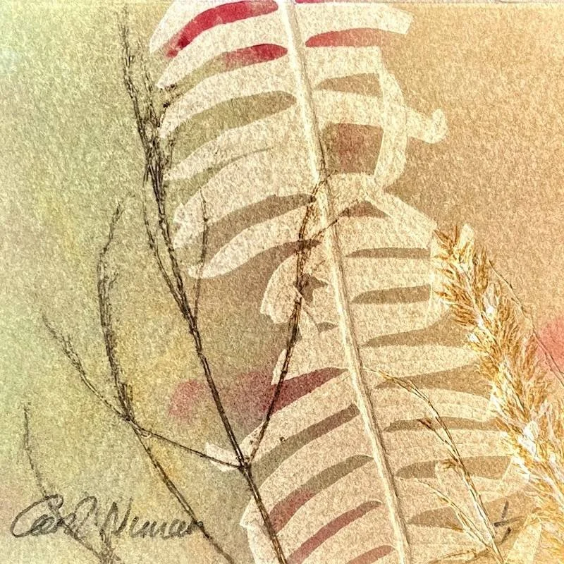 a monotype print created using plant material found in woodland in Scotland and Northumberland (Copy)