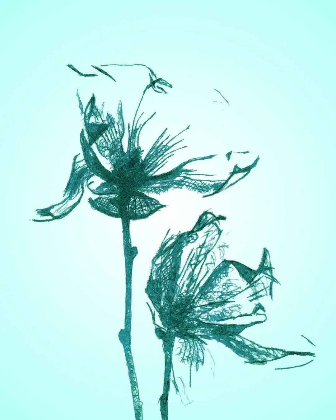 printmaking workshop on drypoint and collage - example 4 flowers drawing