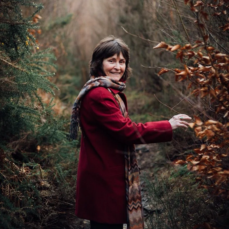 Carol, walking in the woods looking for inspiration