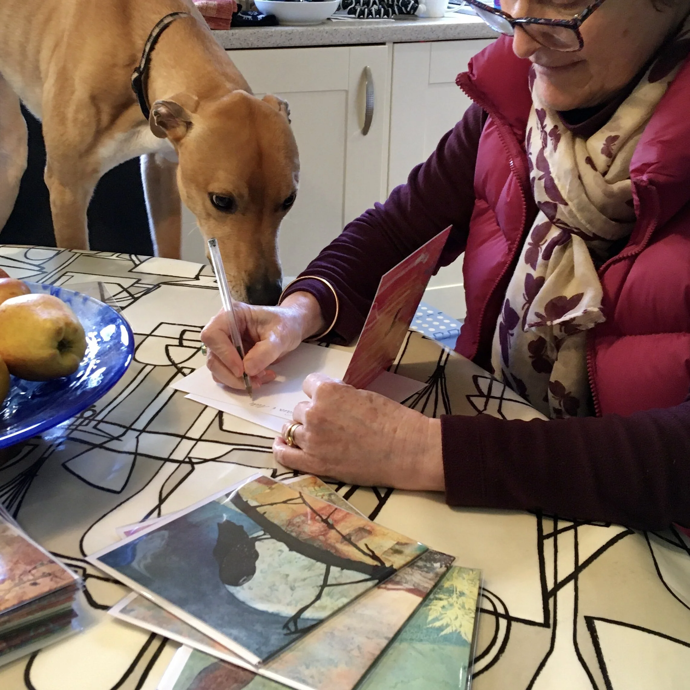 An Artist's Life in the Time of Covid 19