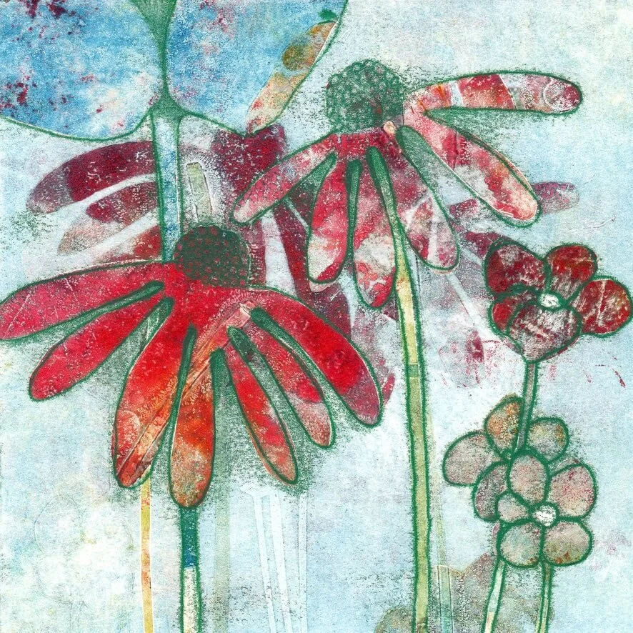 Echinacea II