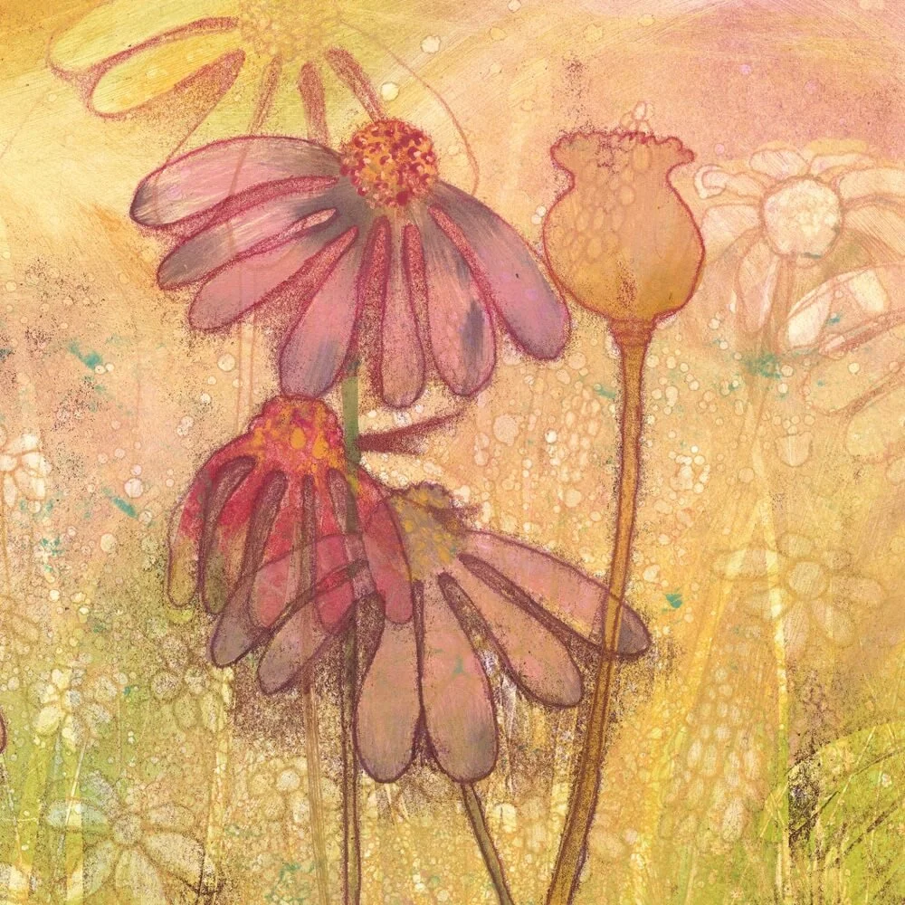 Evening Amongst The Echinacea