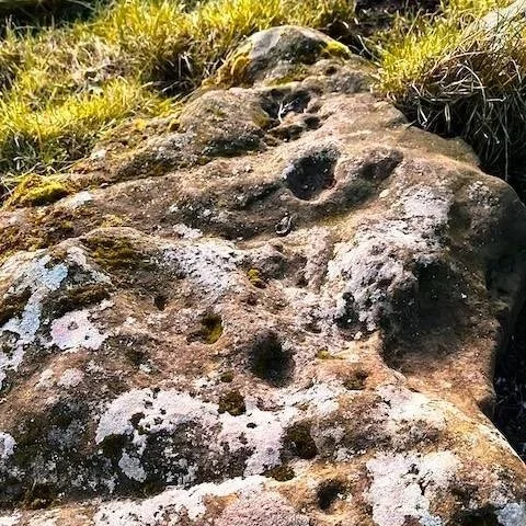 Cup and ring rock art