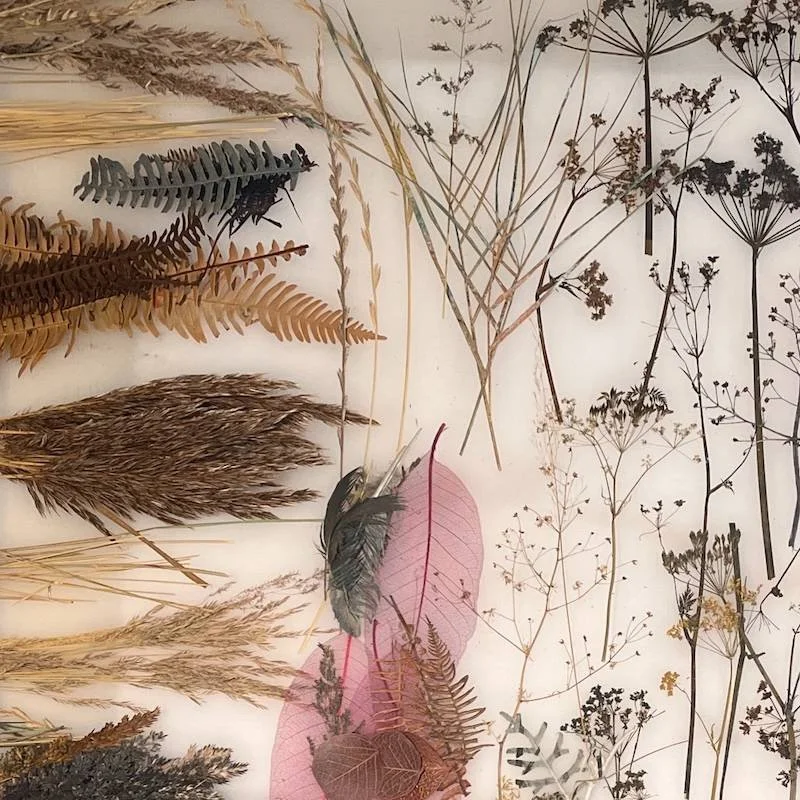 Plants and grasses to print with and use as masks