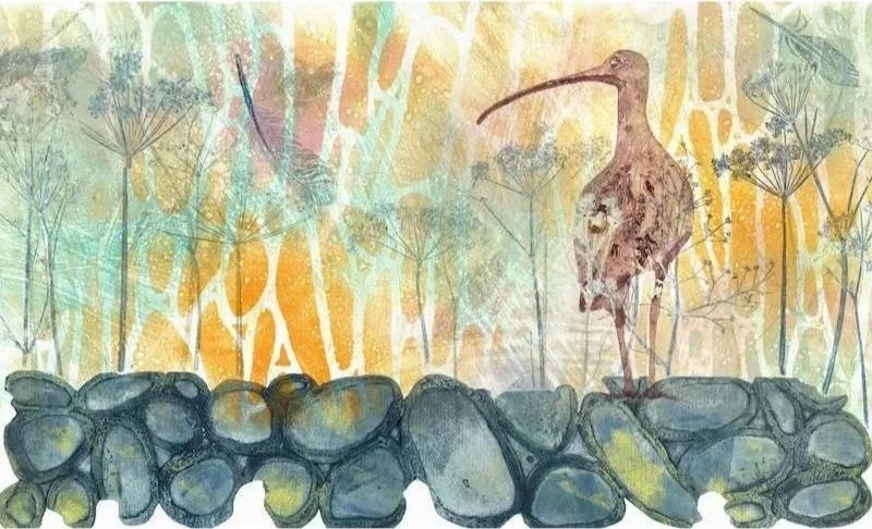 Curlew On The Edge II