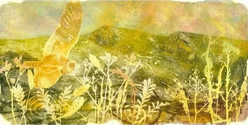 Owl Over The Moors IV