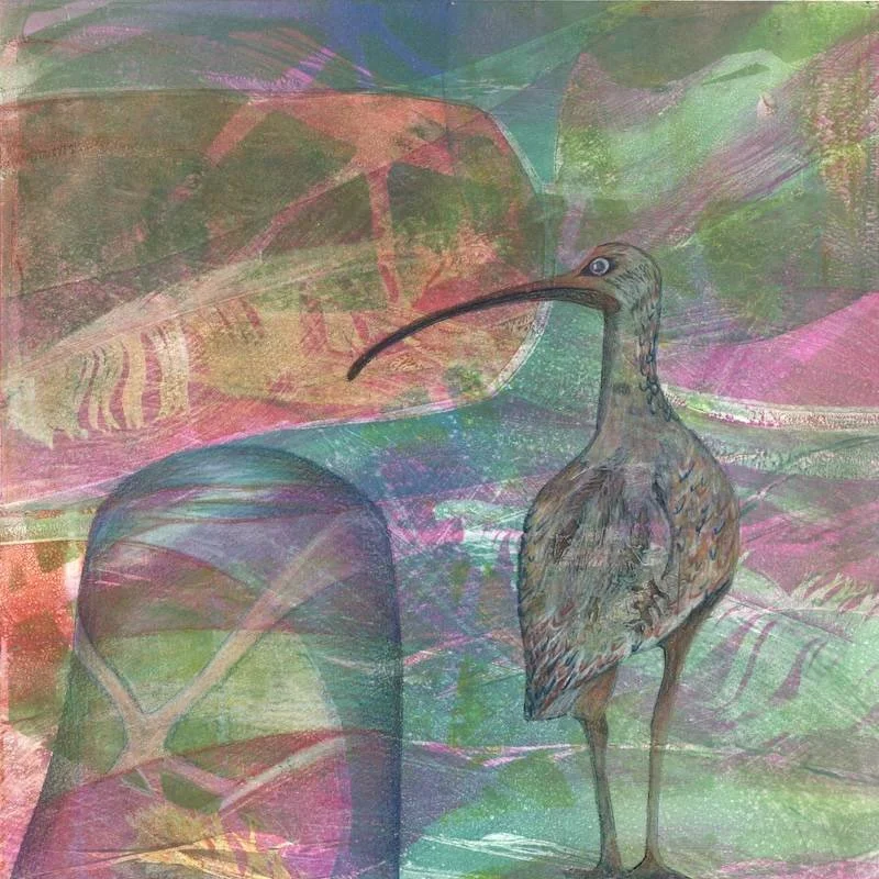 fine-art-print-carol-nunan-water's-edge - a monotype featuring pebbles and wave patterns in blues and pinks with a curlew over printed and hand-finished with colouring pencils