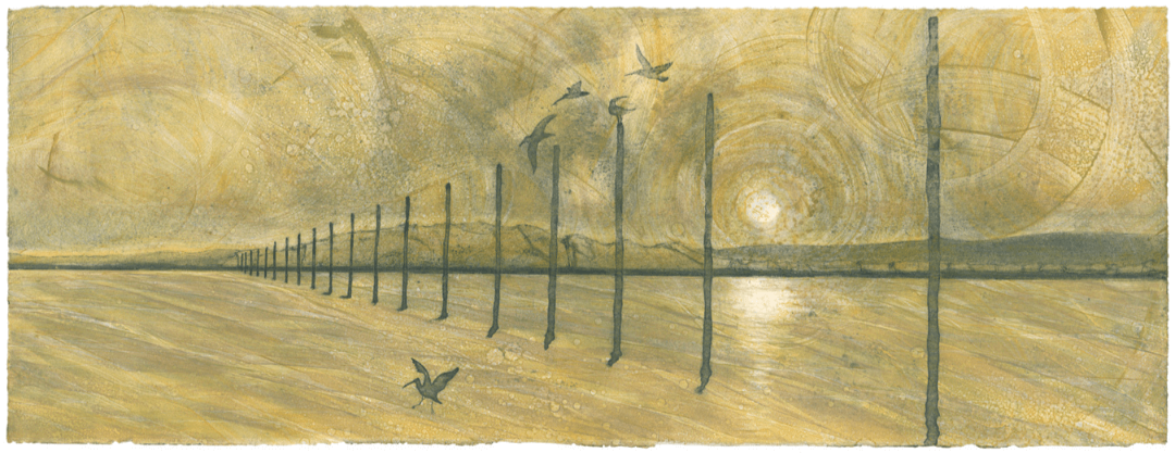 WayMarkers Across The Causeway V