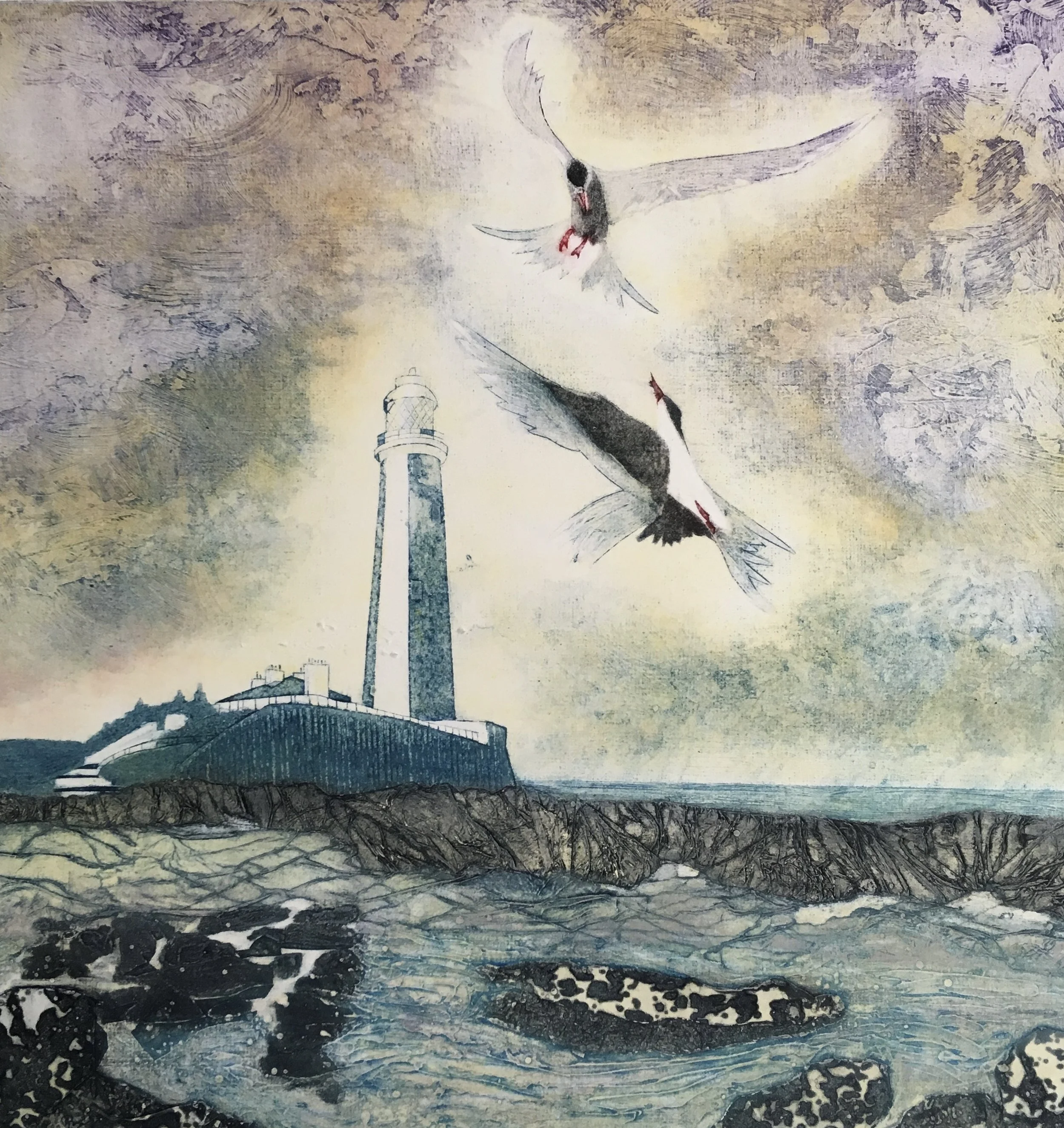 Arctic Terns III | Wildlife Giclée Fine Art Print