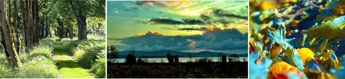 Printmaking workshops photo montage on the isleof bute at Carol Nunan studio Scotland