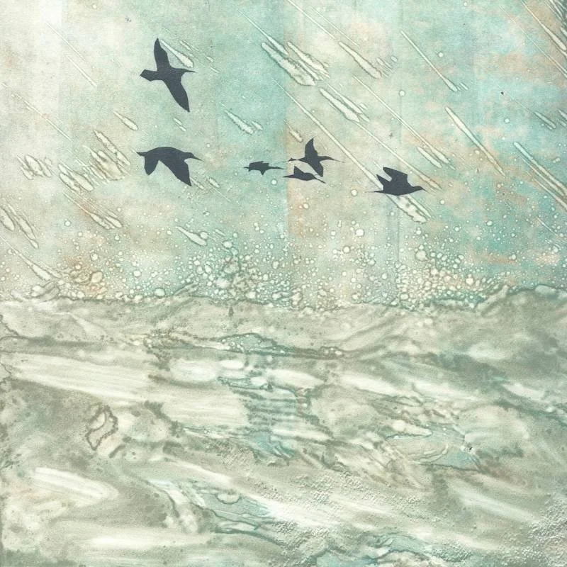 Big Swell | Wildlife Giclée Fine Art Print